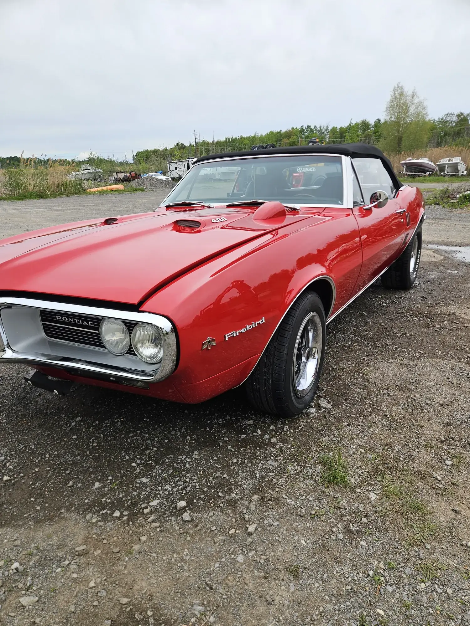 Coated red Firebird